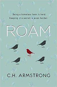 Roam book cover