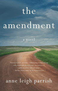 the amendment book cover